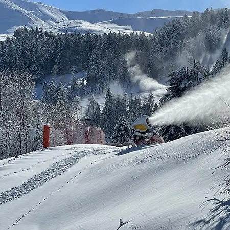 Cosy Avec Balcon Au Cœur De La Station - Fr-1-787-78 *